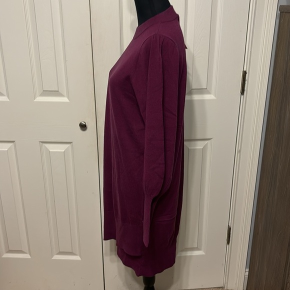 Betsey Johnson Burgundy Mini Dress - Picture 6 of 11